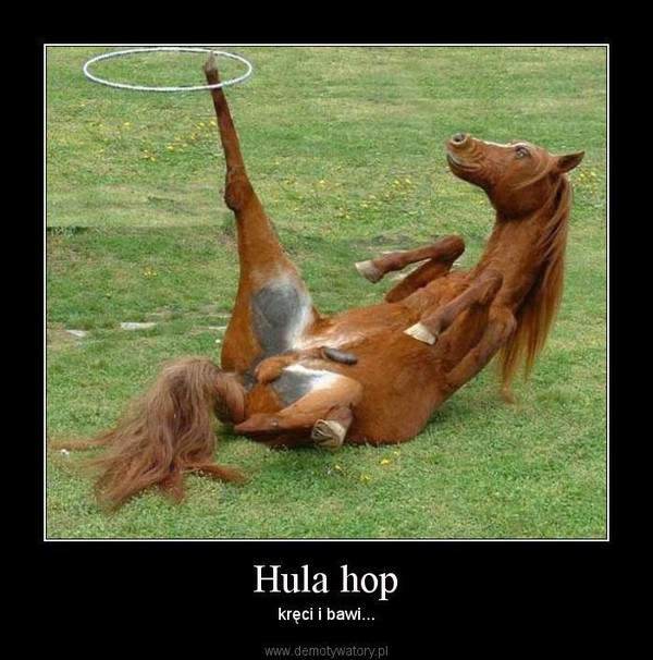 Hula hop – kręci i bawi... 