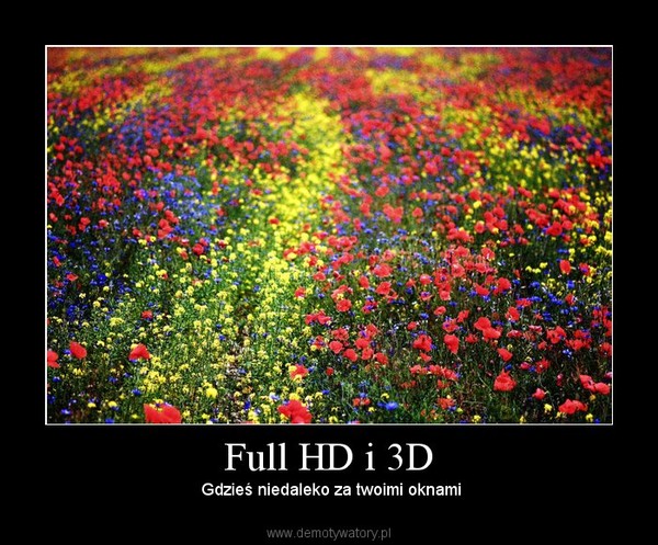 Full HD i 3D –  Gdzieś niedaleko za twoimi oknami 