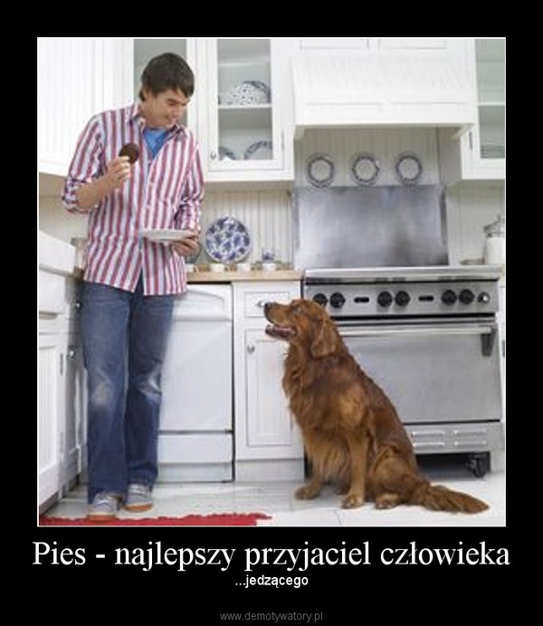 Pies - najlepszy przyjaciel człowieka – ...jedzącego 