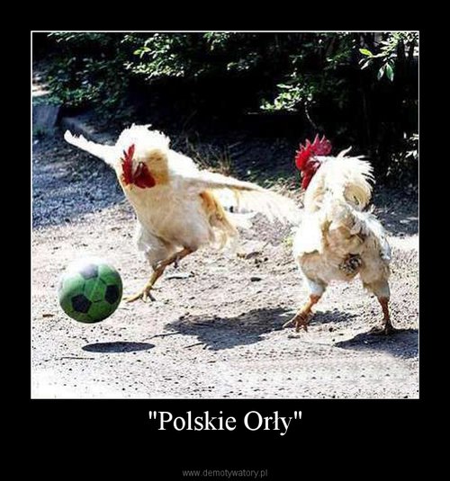 "Polskie Orły"