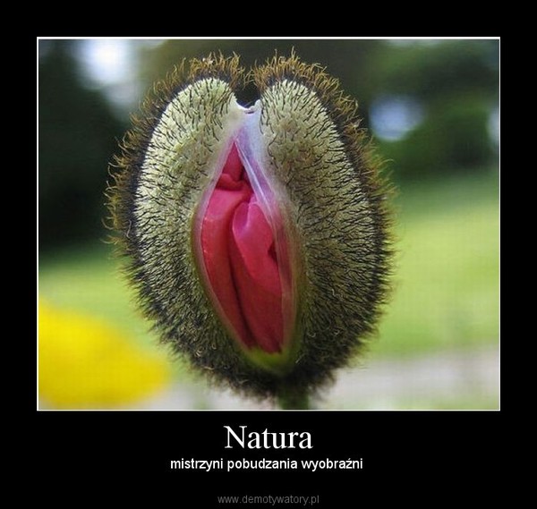 Natura – mistrzyni pobudzania wyobraźni 
