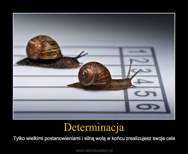Determinacja – Tylko wielkimi postanowieniami i silną wolą w końcu zrealizujesz swoje cele 