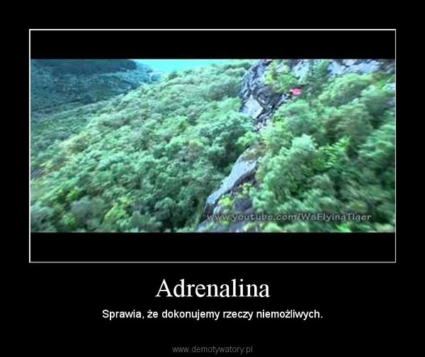 Adrenalina – Sprawia, że dokonujemy rzeczy niemożliwych. 