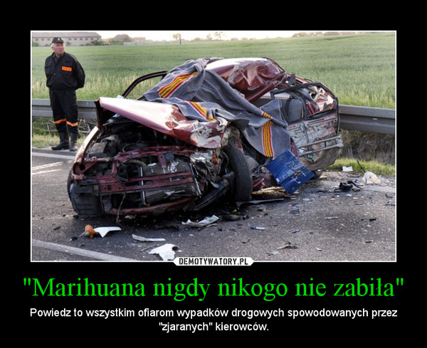 "Marihuana nigdy nikogo nie zabiła" – Powiedz to wszystkim ofiarom wypadków drogowych spowodowanych przez "zjaranych" kierowców. 