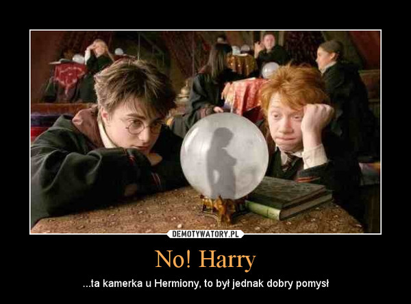 No! Harry – ...ta kamerka u Hermiony, to był jednak dobry pomysł 