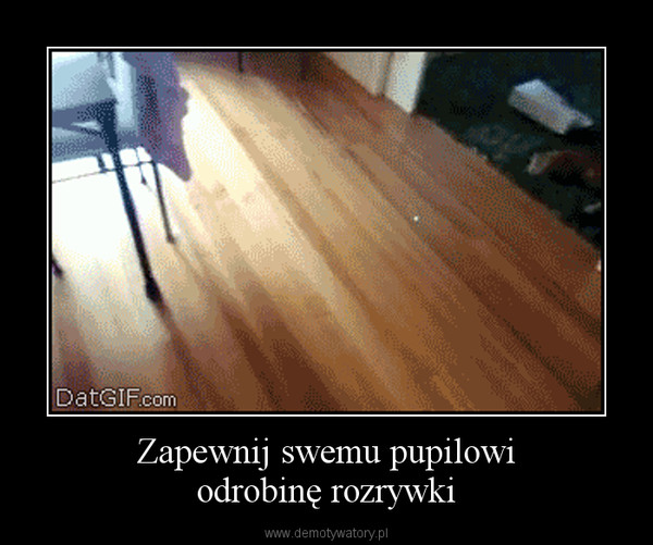 Zapewnij swemu pupilowiodrobinę rozrywki –  