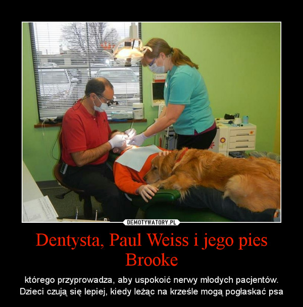 Dentysta, Paul Weiss i jego pies Brooke