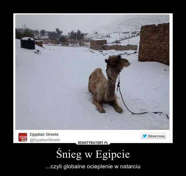 Śnieg w Egipcie – ...czyli globalne ocieplenie w natarciu 
