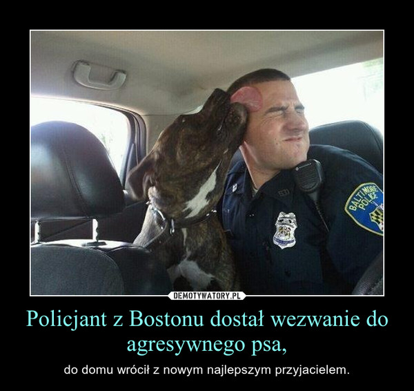 Policjant z Bostonu dostał wezwanie do agresywnego psa, – do domu wrócił z nowym najlepszym przyjacielem. 