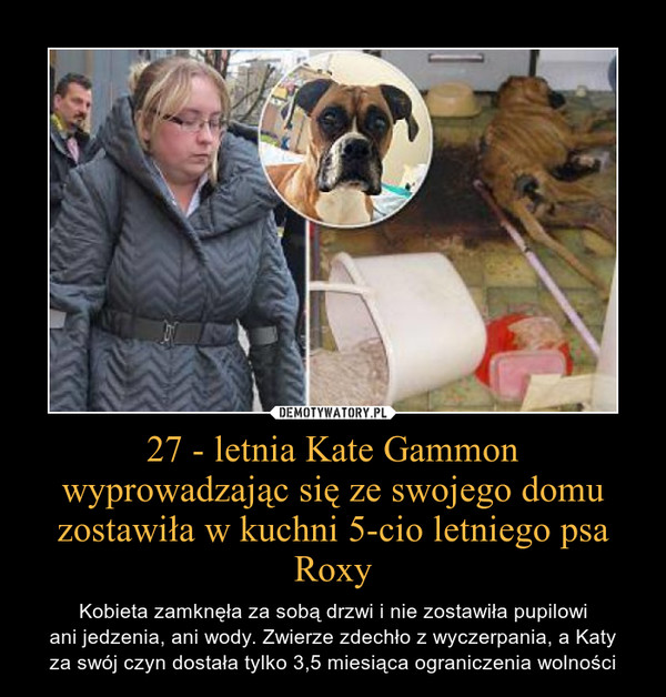 27 - letnia Kate Gammon wyprowadzając się ze swojego domu zostawiła w kuchni 5-cio letniego psa Roxy – Kobieta zamknęła za sobą drzwi i nie zostawiła pupilowiani jedzenia, ani wody. Zwierze zdechło z wyczerpania, a Katyza swój czyn dostała tylko 3,5 miesiąca ograniczenia wolności 