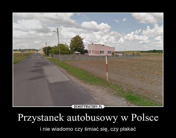 Przystanek autobusowy w Polsce – i nie wiadomo czy śmiać się, czy płakać 