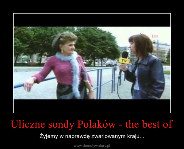 Uliczne sondy Polaków - the best of – Żyjemy w naprawdę zwariowanym kraju... 