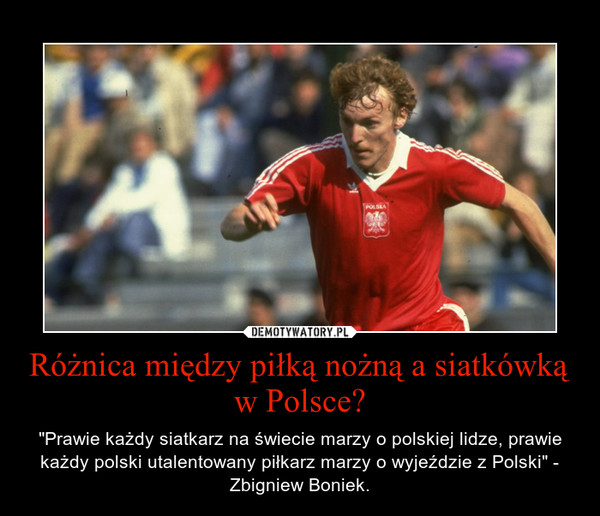 Różnica między piłką nożną a siatkówką w Polsce?