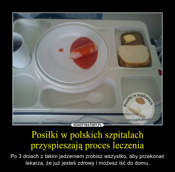 Posiłki w polskich szpitalach przyspieszają proces leczenia – Po 3 dniach z takim jedzeniem zrobisz wszystko, aby przekonać lekarza, że już jesteś zdrowy i możesz iść do domu. 