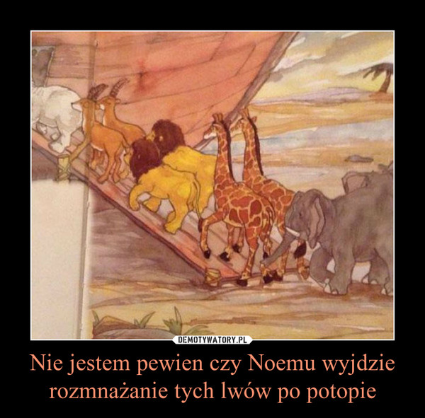 Nie jestem pewien czy Noemu wyjdzie rozmnażanie tych lwów po potopie –  