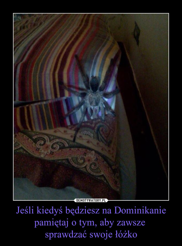 Jeśli kiedyś będziesz na Dominikanie pamiętaj o tym, aby zawsze sprawdzać swoje łóżko –  