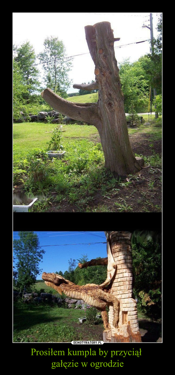 Prosiłem kumpla by przyciął gałęzie w ogrodzie –  