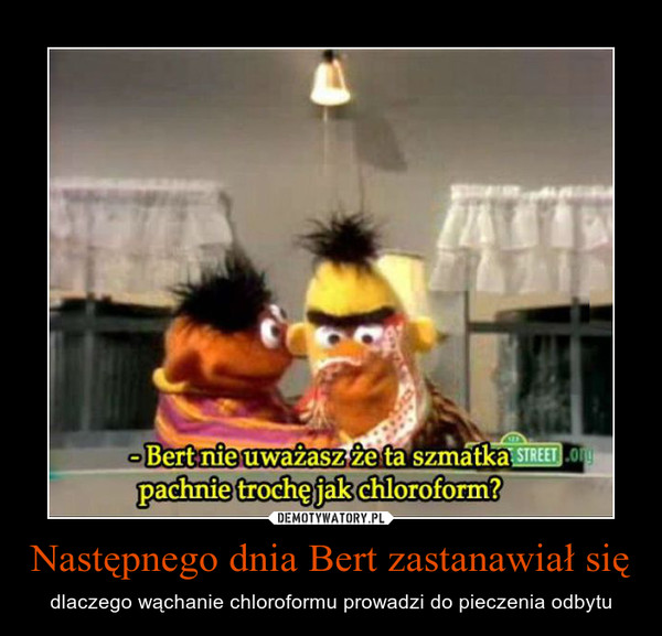 Następnego dnia Bert zastanawiał się
