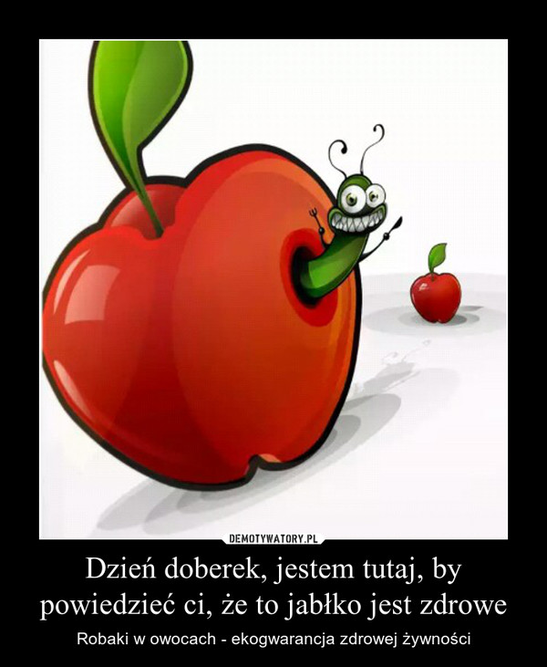 Dzień doberek, jestem tutaj, by powiedzieć ci, że to jabłko jest zdrowe – Robaki w owocach - ekogwarancja zdrowej żywności 