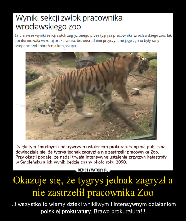 Okazuje się, że tygrys jednak zagryzł a nie zastrzelił pracownika Zoo – ...i wszystko to wiemy dzięki wnikliwym i intensywnym działaniom polskiej prokuratury. Brawo prokuratura!!! 