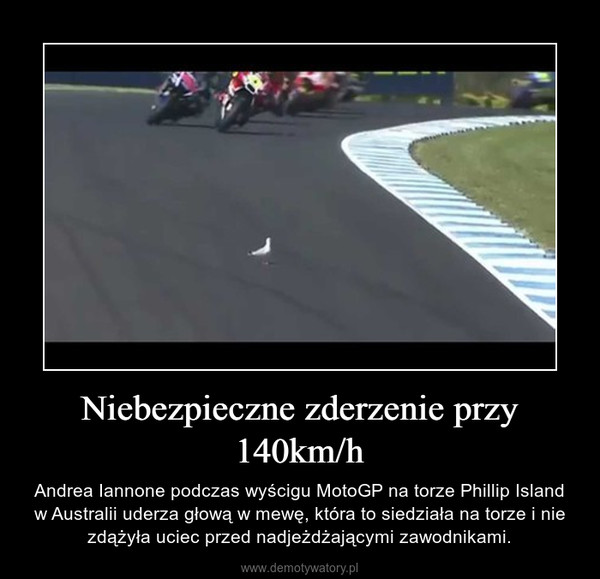 Niebezpieczne zderzenie przy 140km/h – Andrea Iannone podczas wyścigu MotoGP na torze Phillip Island w Australii uderza głową w mewę, która to siedziała na torze i nie zdążyła uciec przed nadjeżdżającymi zawodnikami. 
