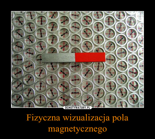 Fizyczna wizualizacja pola magnetycznego –  