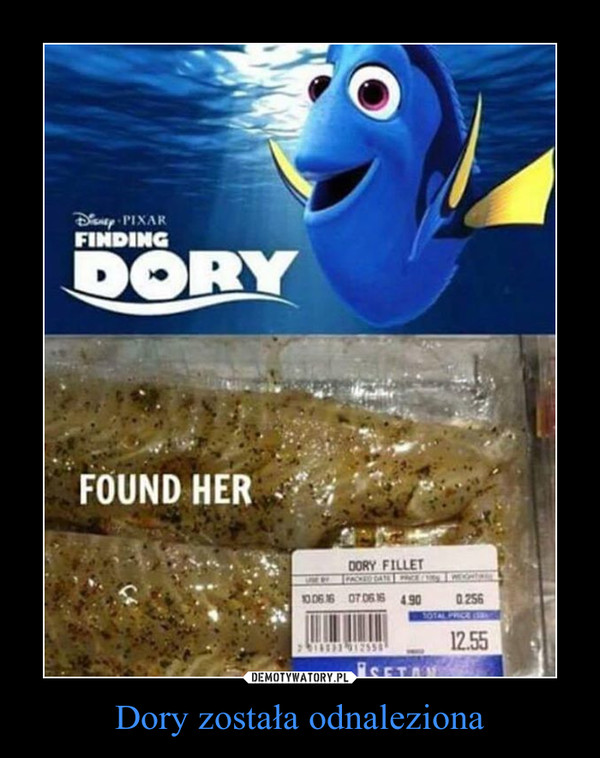 Dory została odnaleziona –  