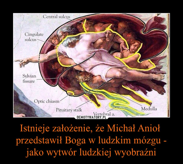 Istnieje założenie, że Michał Anioł  przedstawił Boga w ludzkim mózgu - jako wytwór ludzkiej wyobraźni –  