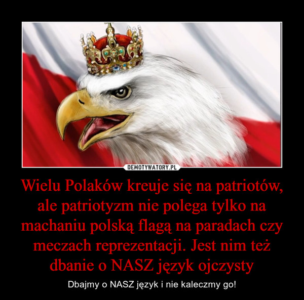 Wielu Polaków kreuje się na patriotów, ale patriotyzm nie polega tylko na machaniu polską flagą na paradach czy meczach reprezentacji. Jest nim też dbanie o NASZ język ojczysty – Dbajmy o NASZ język i nie kaleczmy go! 