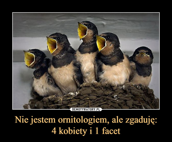 Nie jestem ornitologiem, ale zgaduję:4 kobiety i 1 facet –  