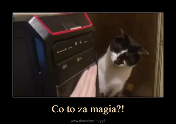 Co to za magia?! –  