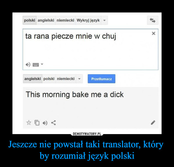 Jeszcze nie powstał taki translator, który by rozumiał język polski –  