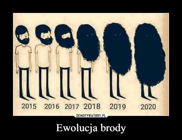 Ewolucja brody –  