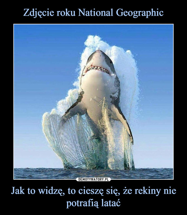 Zdjęcie roku National Geographic Jak to widzę, to cieszę się, że rekiny nie potrafią latać