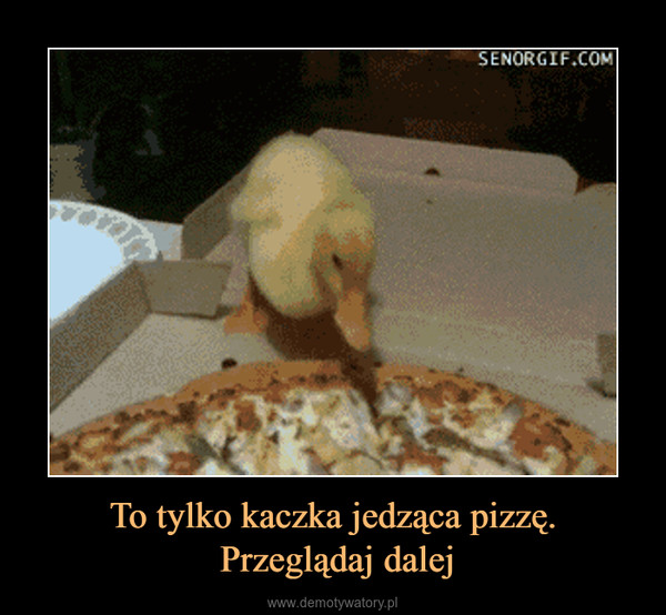 To tylko kaczka jedząca pizzę. Przeglądaj dalej –  