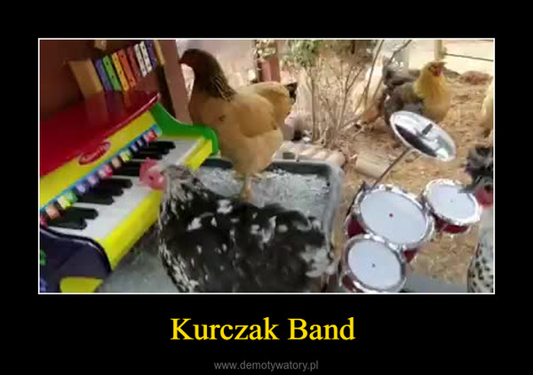 Kurczak Band  –  
