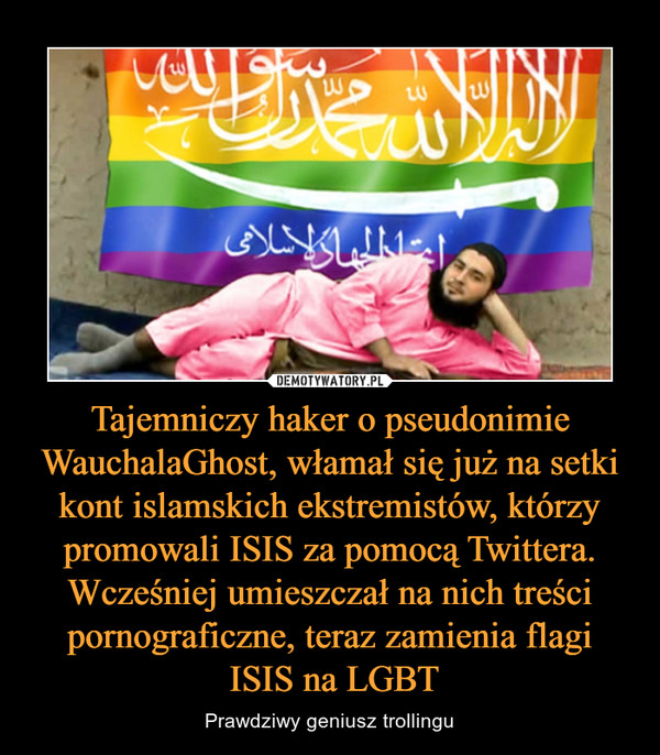 Tajemniczy haker o pseudonimie WauchalaGhost, włamał się już na setki kont islamskich ekstremistów, którzy promowali ISIS za pomocą Twittera. Wcześniej umieszczał na nich treści pornograficzne, teraz zamienia flagi ISIS na LGBT – Prawdziwy geniusz trollingu 