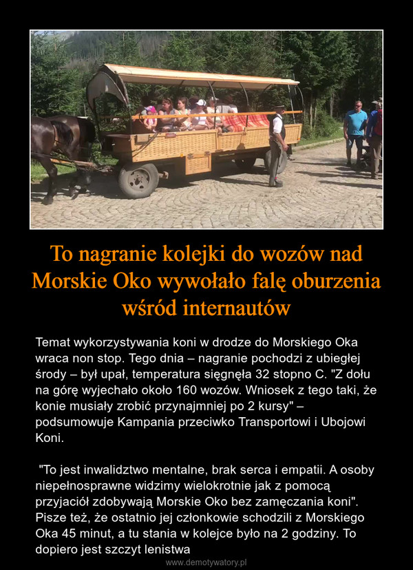 To nagranie kolejki do wozów nad Morskie Oko wywołało falę oburzenia wśród internautów – Temat wykorzystywania koni w drodze do Morskiego Oka wraca non stop. Tego dnia – nagranie pochodzi z ubiegłej środy – był upał, temperatura sięgnęła 32 stopno C. "Z dołu na górę wyjechało około 160 wozów. Wniosek z tego taki, że konie musiały zrobić przynajmniej po 2 kursy" – podsumowuje Kampania przeciwko Transportowi i Ubojowi Koni. "To jest inwalidztwo mentalne, brak serca i empatii. A osoby niepełnosprawne widzimy wielokrotnie jak z pomocą przyjaciół zdobywają Morskie Oko bez zamęczania koni". Pisze też, że ostatnio jej członkowie schodzili z Morskiego Oka 45 minut, a tu stania w kolejce było na 2 godziny. To dopiero jest szczyt lenistwa 