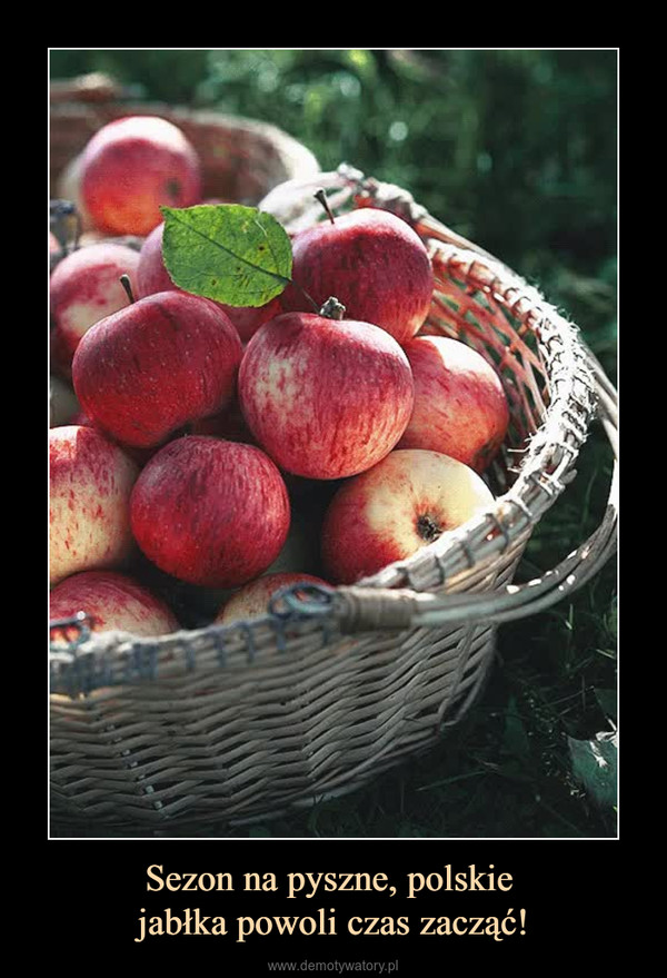 Sezon na pyszne, polskie jabłka powoli czas zacząć! –  