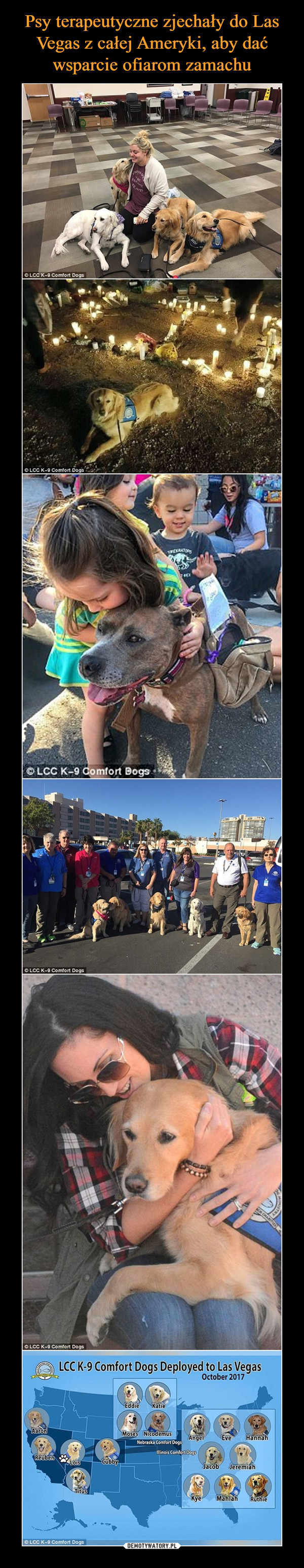 Psy terapeutyczne zjechały do Las Vegas z całej Ameryki, aby dać wsparcie ofiarom zamachu