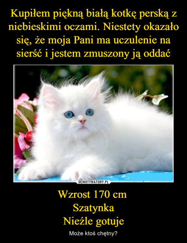 Kupiłem piękną białą kotkę perską z niebieskimi oczami. Niestety okazało się, że moja Pani ma uczulenie na sierść i jestem zmuszony ją oddać Wzrost 170 cm 
Szatynka
Nieźle gotuje