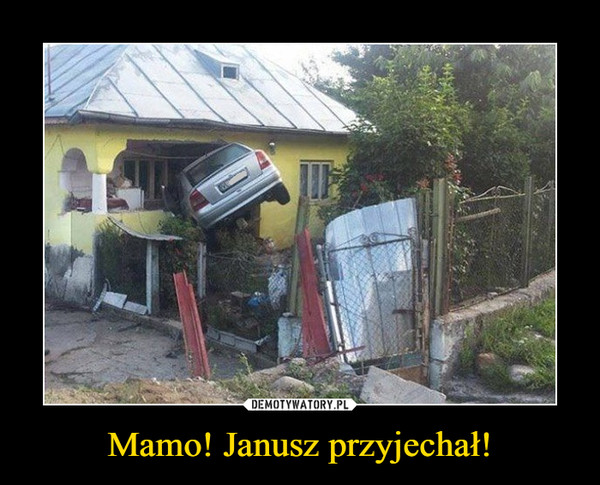 Mamo! Janusz przyjechał! –  