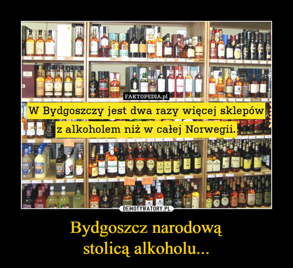 Bydgoszcz narodowąstolicą alkoholu... –  