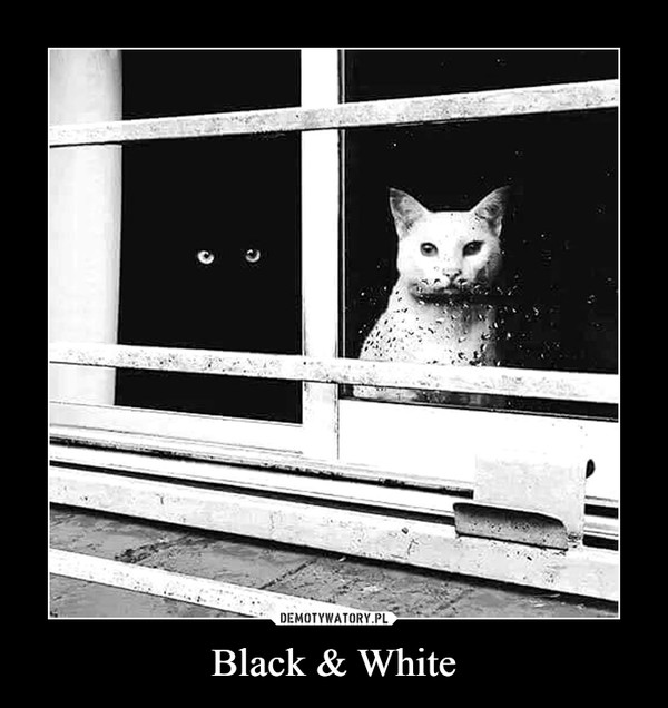 Black & White –  
