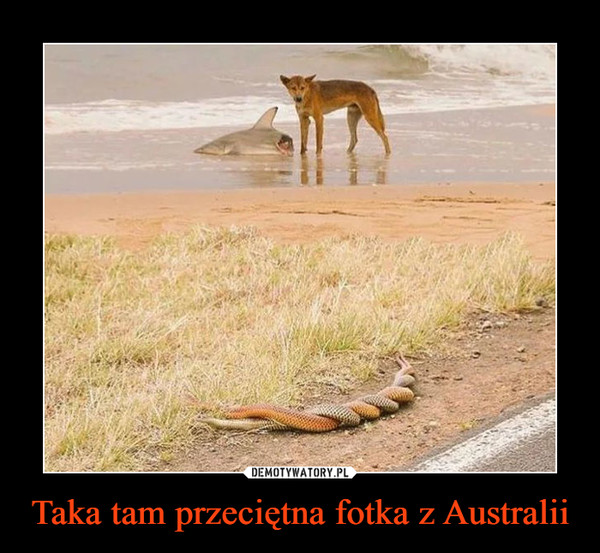 Taka tam przeciętna fotka z Australii –  