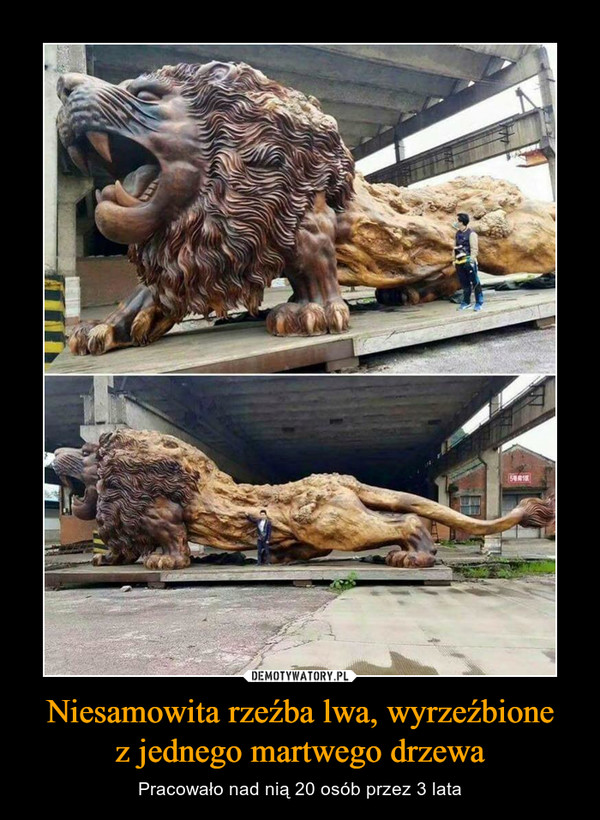 Niesamowita rzeźba lwa, wyrzeźbionez jednego martwego drzewa – Pracowało nad nią 20 osób przez 3 lata 
