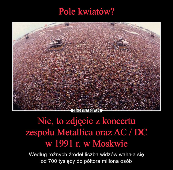 Pole kwiatów? Nie, to zdjęcie z koncertu
zespołu Metallica oraz AC / DC
w 1991 r. w Moskwie