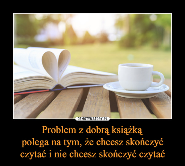 Problem z dobrą książkąpolega na tym, że chcesz skończyć czytać i nie chcesz skończyć czytać –  