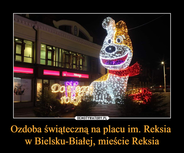 Ozdoba świąteczną na placu im. Reksia  w Bielsku-Białej, mieście Reksia