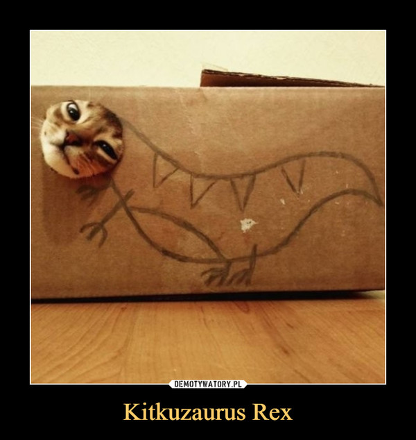 Kitkuzaurus Rex